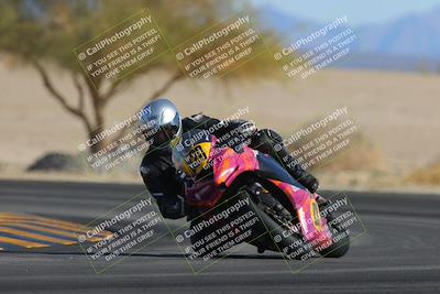 media/Feb-04-2023-SoCal Trackdays (Sat) [[8a776bf2c3]]/Turn 4 (Tree of Life 2pm)/